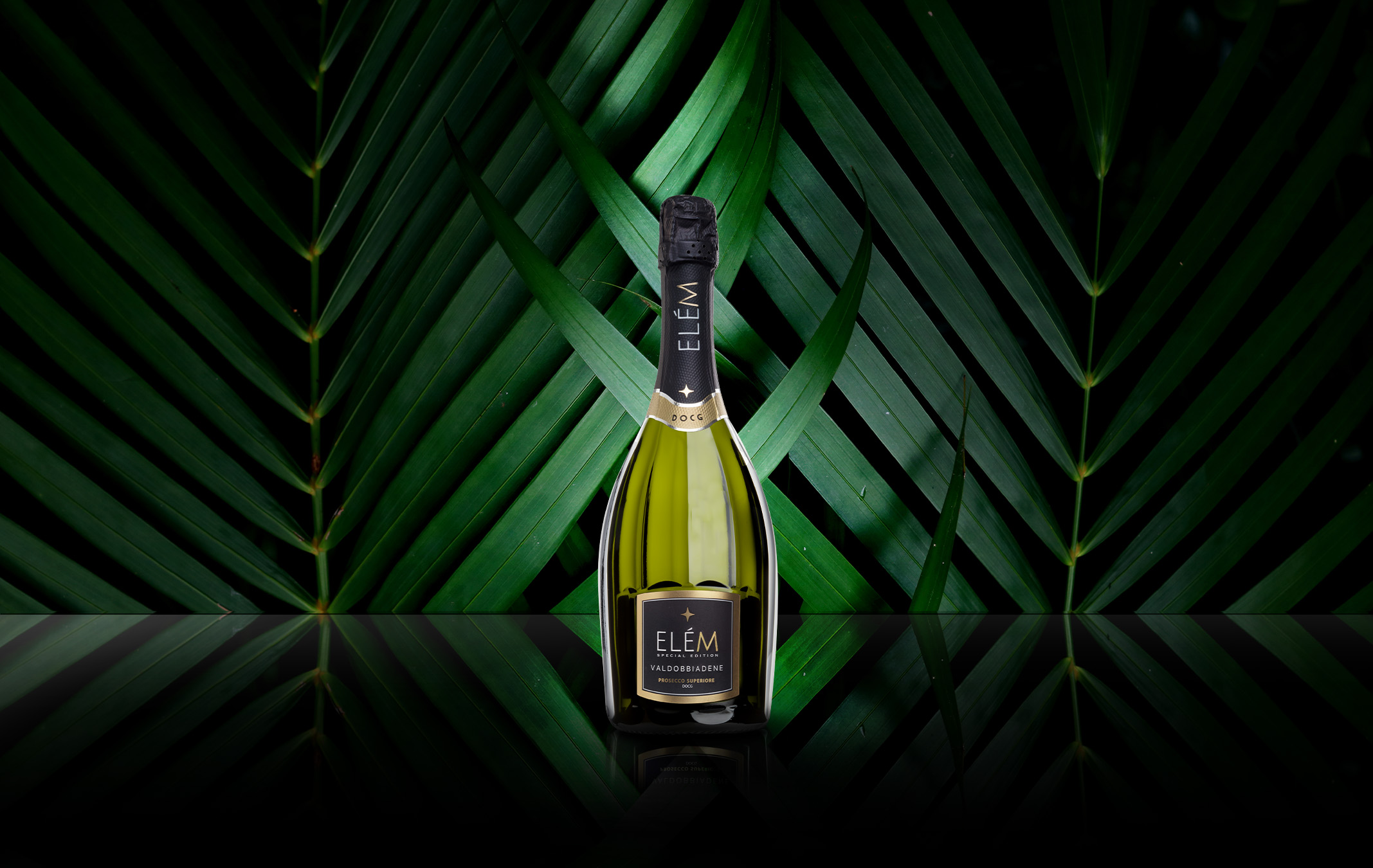 Valdobbiadene Prosecco Superiore DOCG Brut Special Edition Elém 0,7